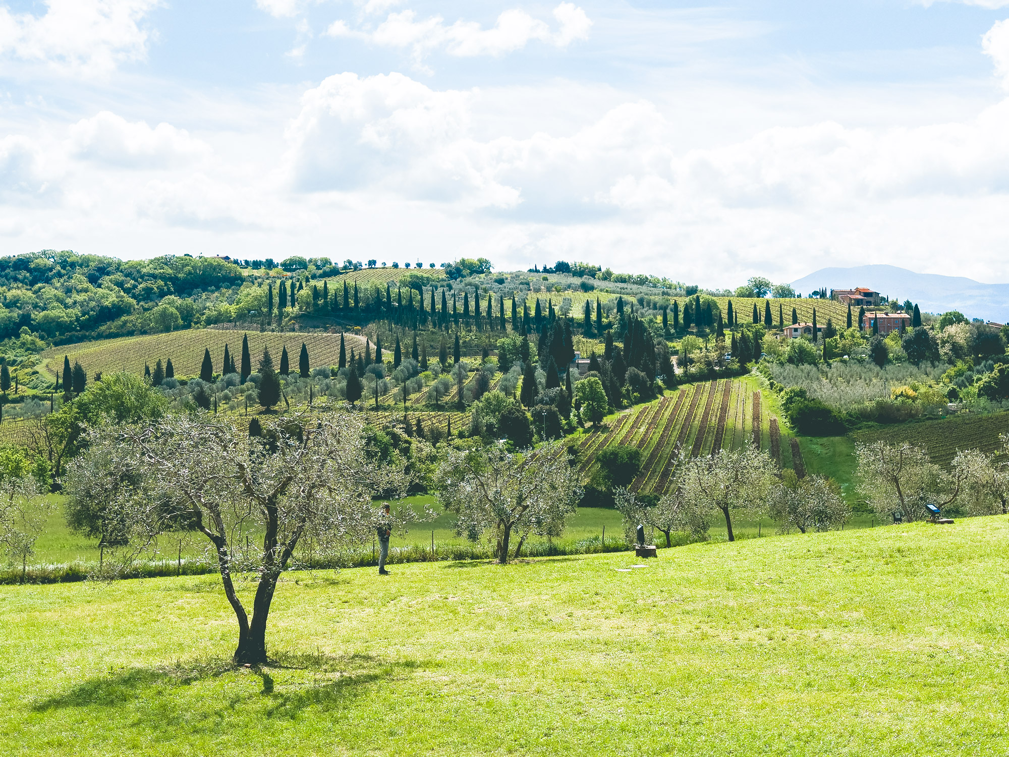 Memories of Italy Part 3: Siena, Montalcino and Florence - Highest Spirits